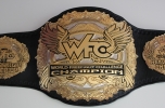 Reshaping the titles and search for new champions